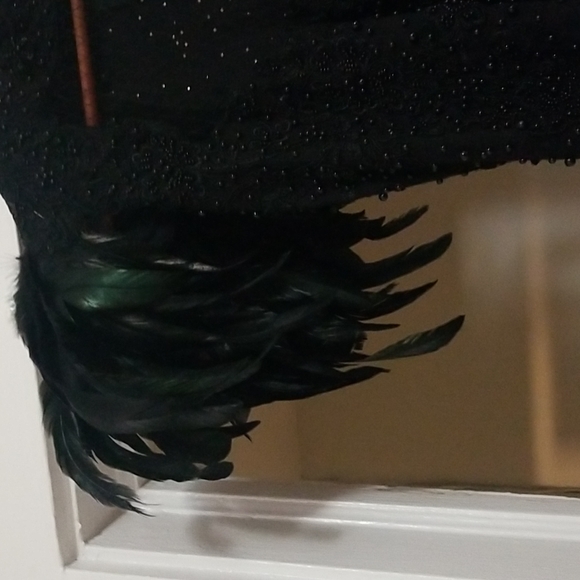 Floor length gothic gown with feathers - Picture 7 of 9